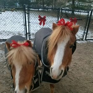 Meet your Posher, Jonni